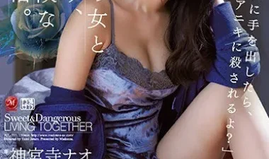 Sự quyến rũ không thể chối từ JUL-211 – Phim sex JAV vietsub không che HD tại Phevkl