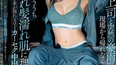 Kẹt Trong Xe Với Sếp Nữ Giữa Mưa Bão Phim Sex HD Tại Phevkl
